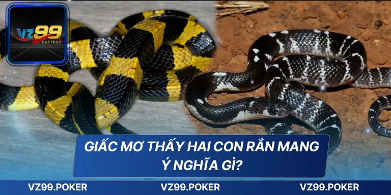 Điềm Báo Khi Mơ Thấy Hai Con Rắn Và Các Con Số May Mắn 6 Giấc mơ thấy hai con rắn mang ý nghĩa gì?