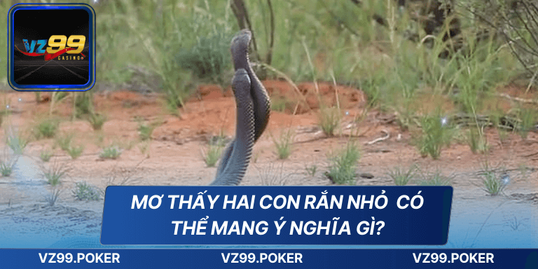 Điềm Báo Khi Mơ Thấy Hai Con Rắn Và Các Con Số May Mắn 8 Mơ thấy hai con rắn nhỏ có thể mang ý nghĩa gì?