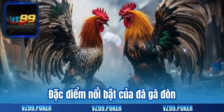 Đá Gà Đòn – Tổng Hợp Các Thông Tin Hữu Ích 7 Đặc điểm nổi bật của đá gà đòn