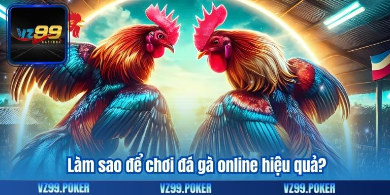 Đá Gà Online - Trải Nghiệm Hấp Dẫn Và Cơ Hội Thắng cao 10 Làm sao để chơi đá gà online hiệu quả?