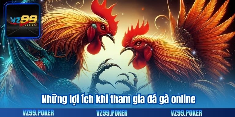 Đá Gà Online - Trải Nghiệm Hấp Dẫn Và Cơ Hội Thắng cao 9 Những lợi ích khi tham gia đá gà online