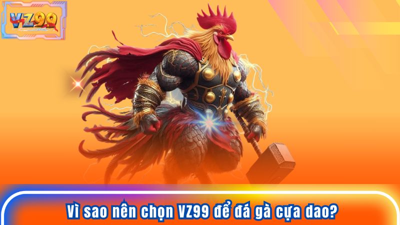Đá Gà Cựa Dao - Hướng Dẫn Chi Tiết Để Tăng Cơ Hội Thắng Lớn 9 Vì sao nên chọn VZ99 để đá gà cựa dao?