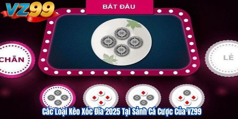 Các Loại Kèo Xóc Đĩa 2025 Tại Sảnh Cá Cược Của VZ99 1 Các Loại Kèo Xóc Đĩa 2025 Tại Sảnh Cá Cược Của VZ99
