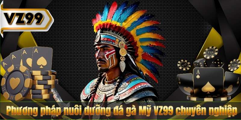 Đá gà Mỹ VZ99 | Bí quyết nuôi dưỡng chiến kê đẳng cấp 8 Phương pháp nuôi dưỡng đá gà Mỹ VZ99 chuyên nghiệp