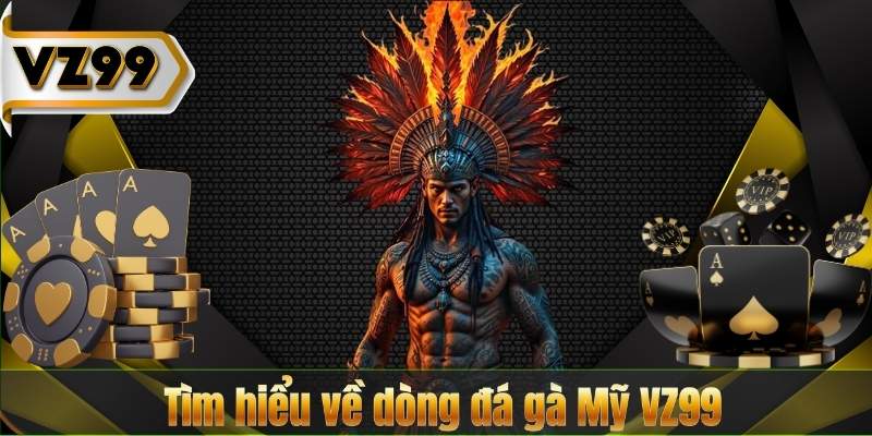 Đá gà Mỹ VZ99 | Bí quyết nuôi dưỡng chiến kê đẳng cấp 6 Tìm hiểu về dòng đá gà Mỹ VZ99